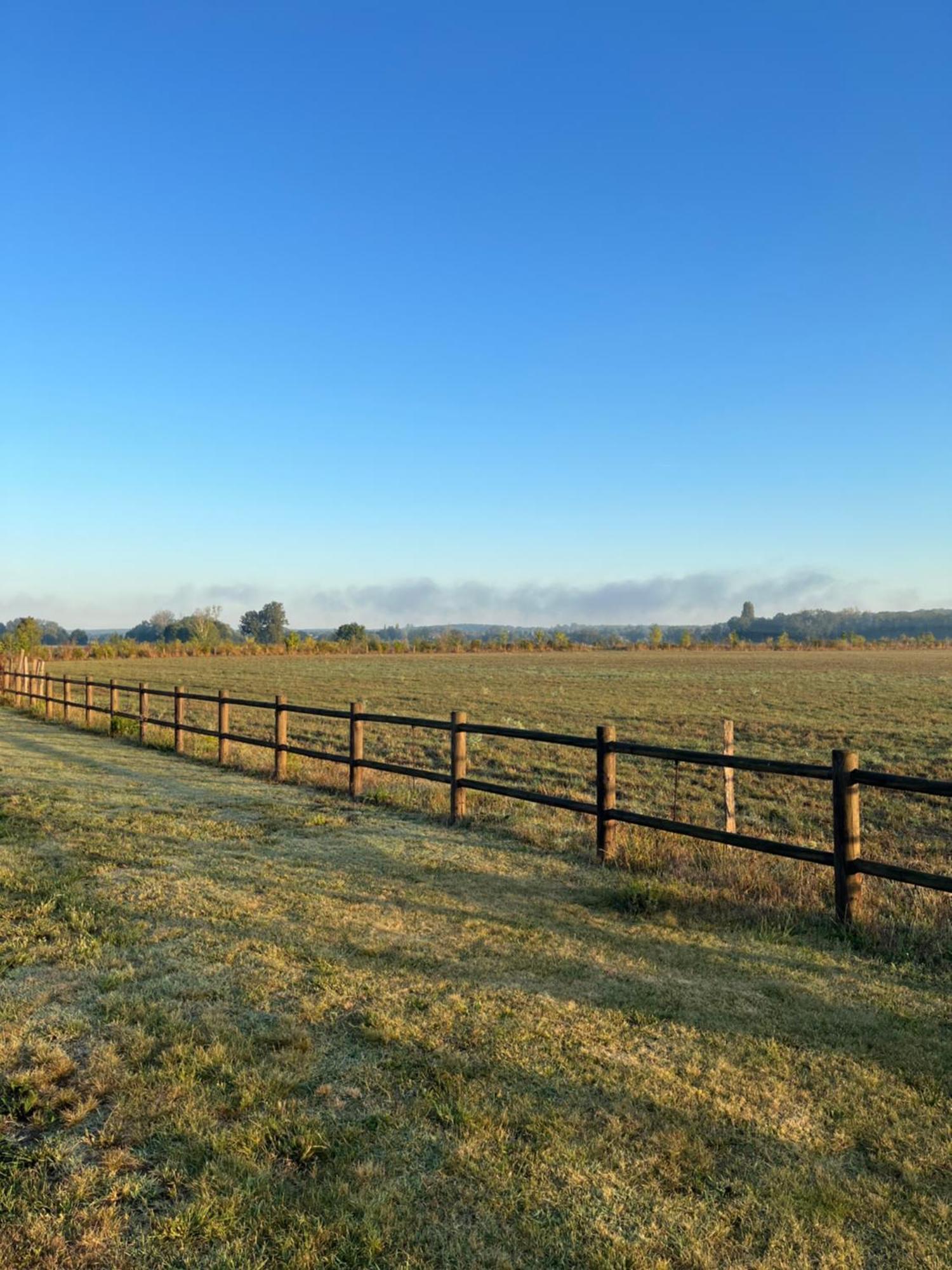 La Gouronerie Bed & Breakfast Parcay-sur-Vienne Bagian luar foto