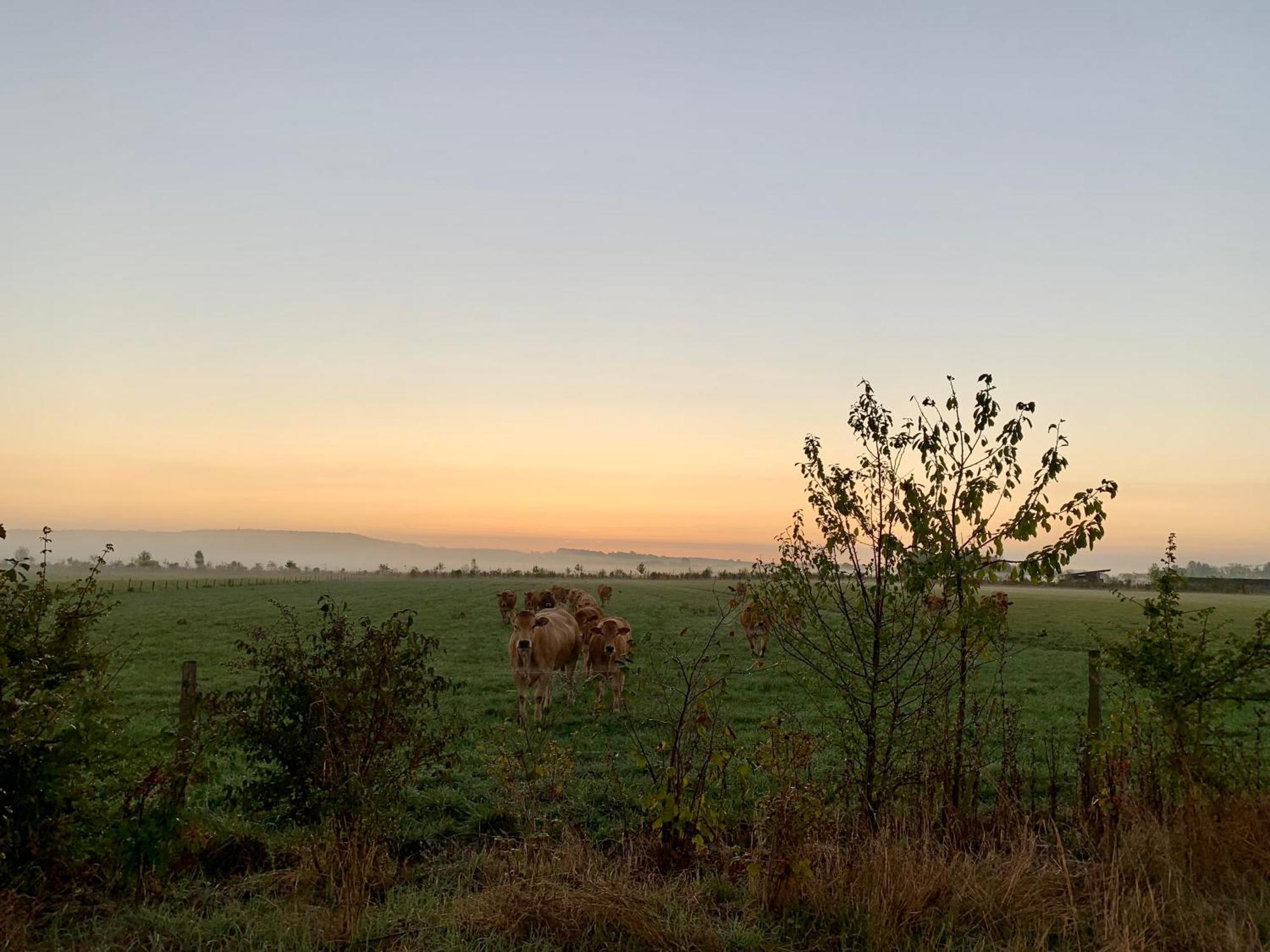 La Gouronerie Bed & Breakfast Parcay-sur-Vienne Bagian luar foto